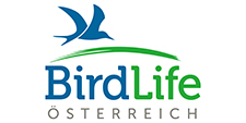 birdlife